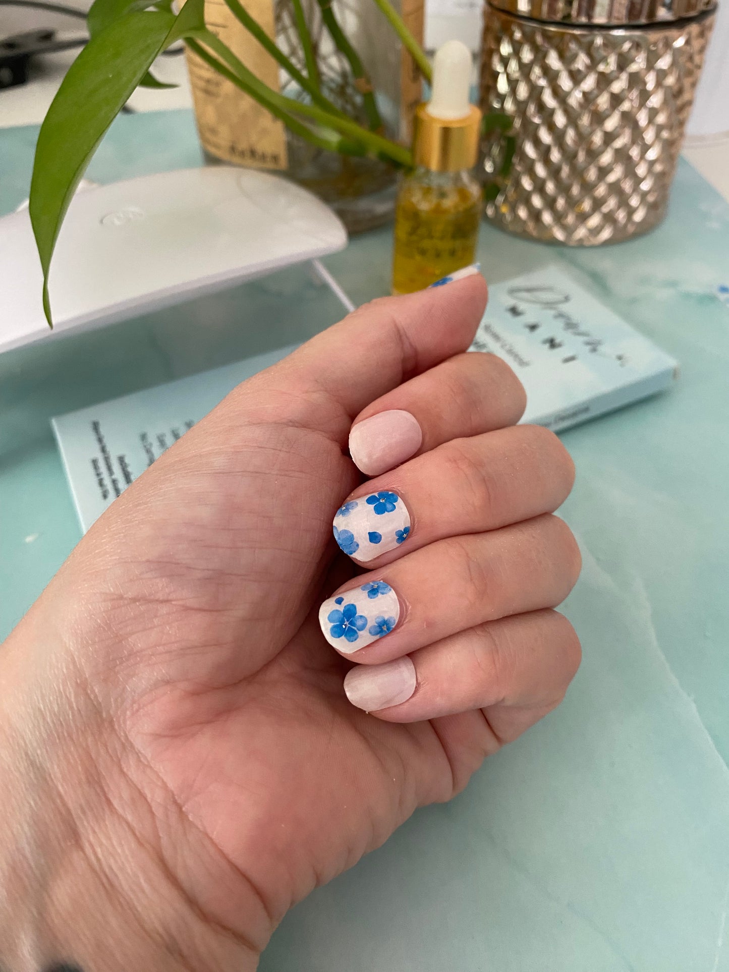 Blue Meadow Gel Nail Sticker Kit